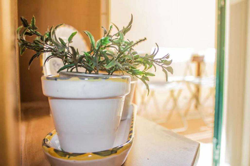 Blife Olaya Private Rooms Olhão Екстериор снимка